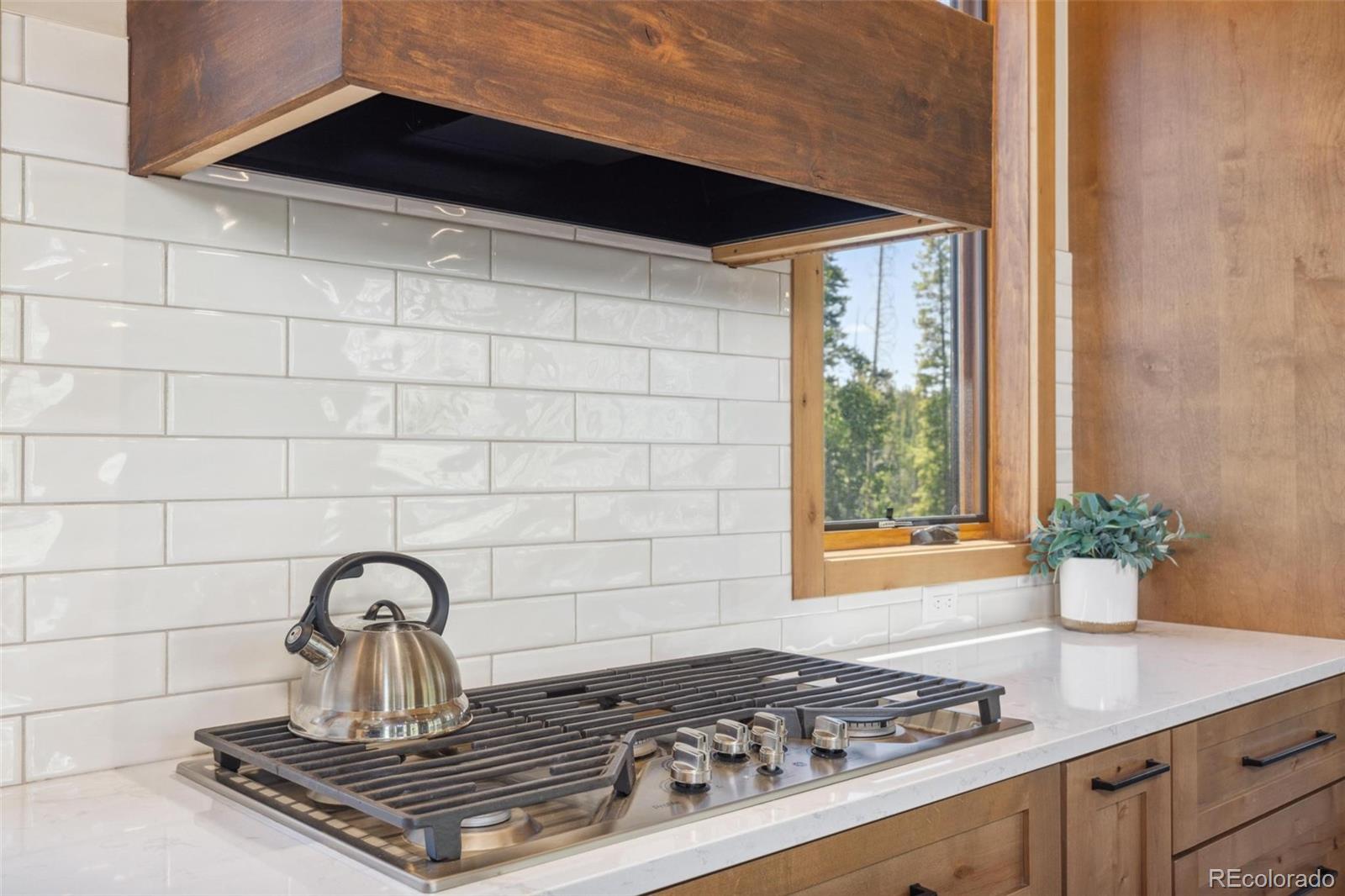 41 Barton Ridge Drive Breckenridge CO 80424