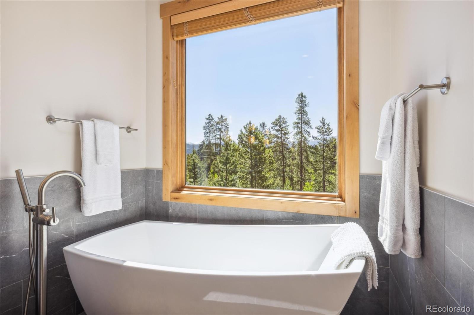41 Barton Ridge Drive Breckenridge CO 80424