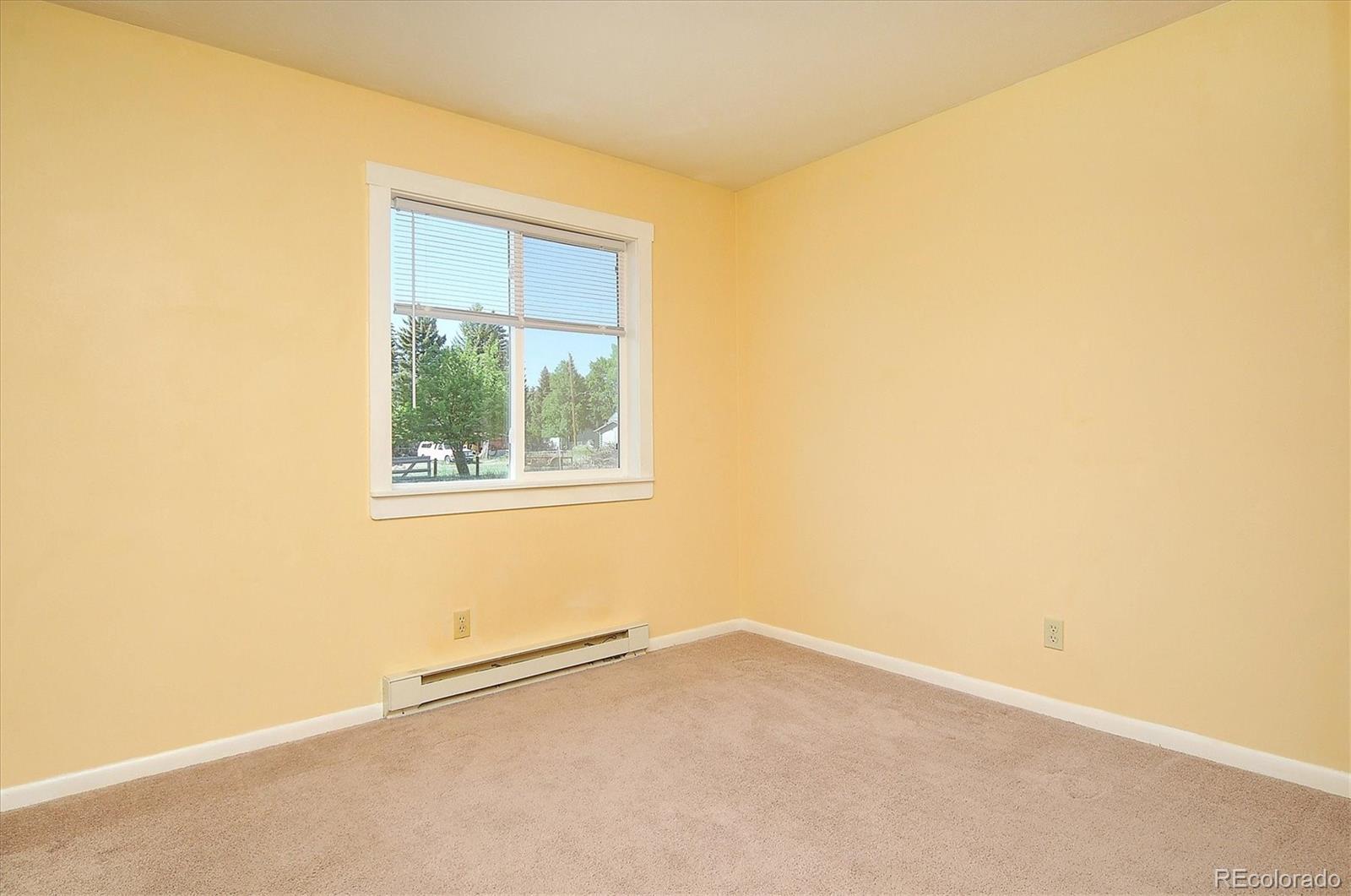620 James Place Buena Vista CO 81211