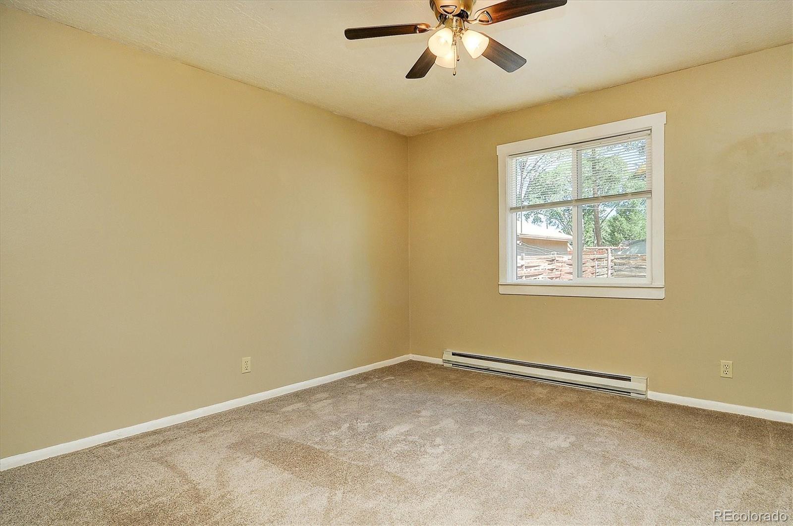 620 James Place Buena Vista CO 81211