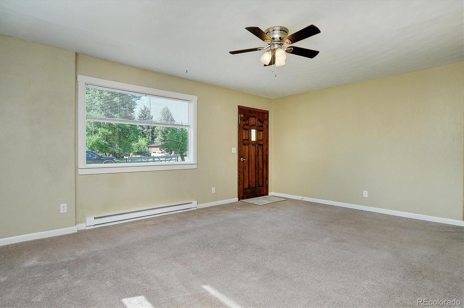 620 James Place Buena Vista CO 81211