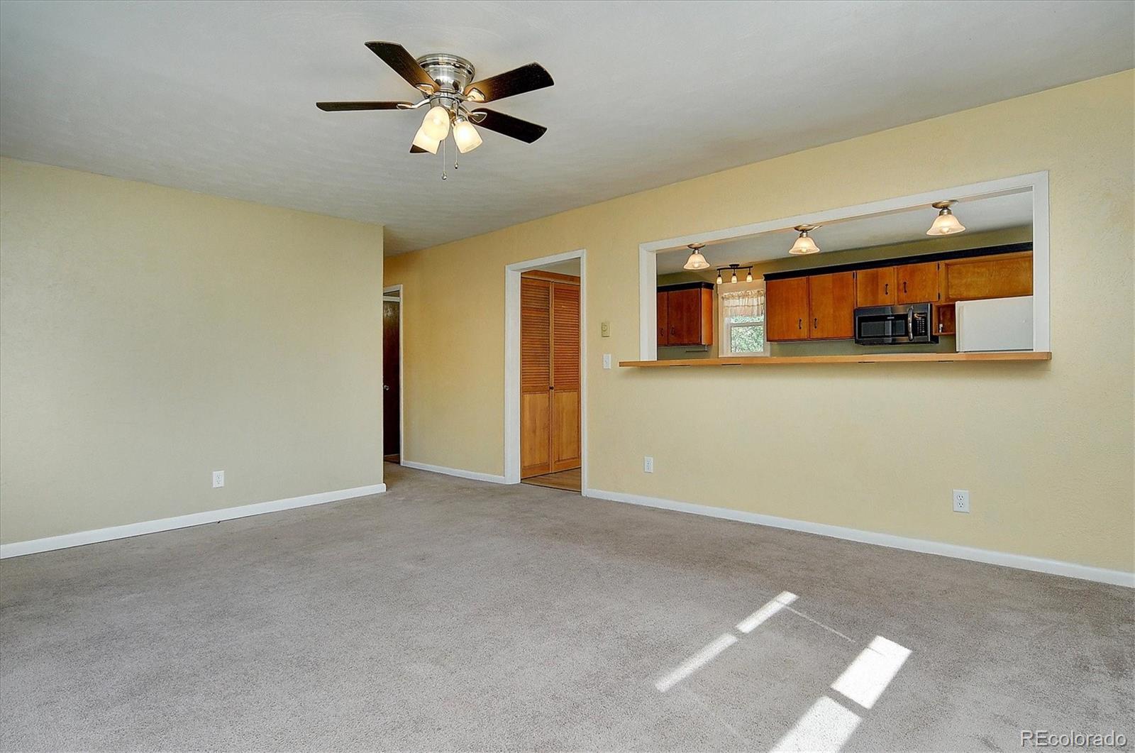 620 James Place Buena Vista CO 81211