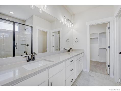 2064 Dusk Court Windsor CO 80550