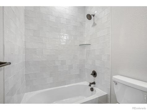2064 Dusk Court Windsor CO 80550