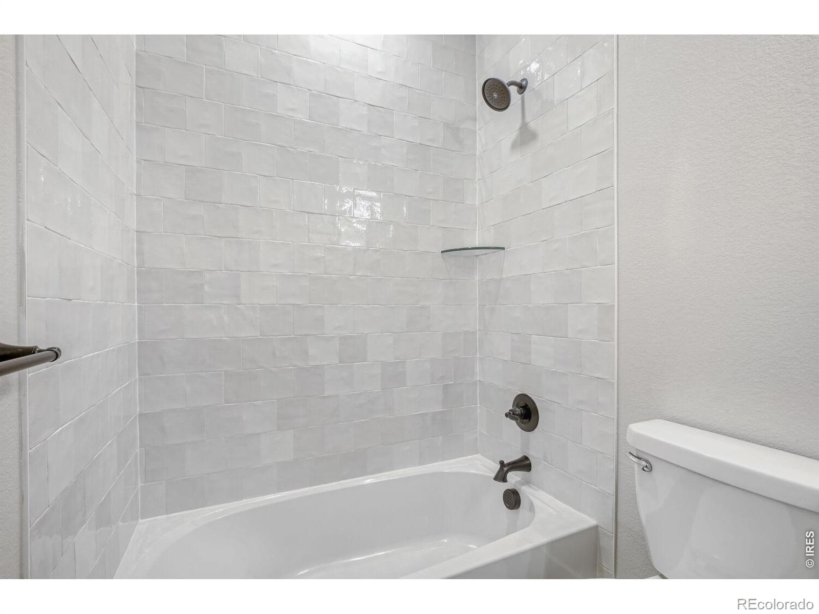2064 Dusk Court Windsor CO 80550