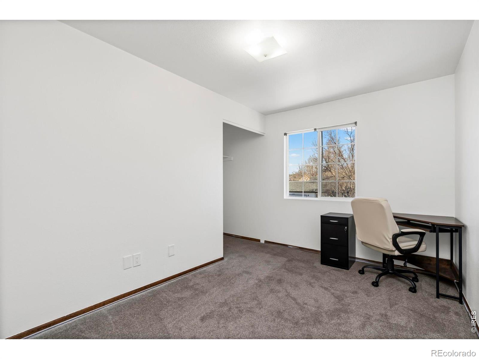 4437 N Lincoln Avenue Loveland CO 80538