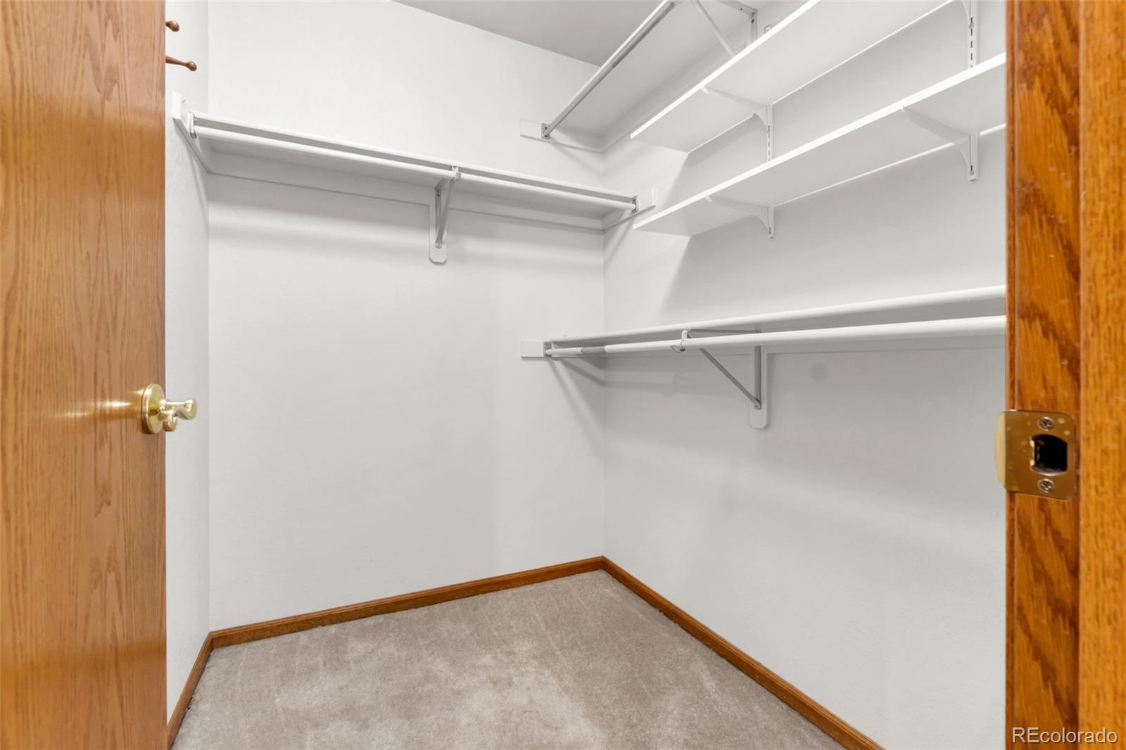 4008 Penrose Avenue Loveland CO 80538