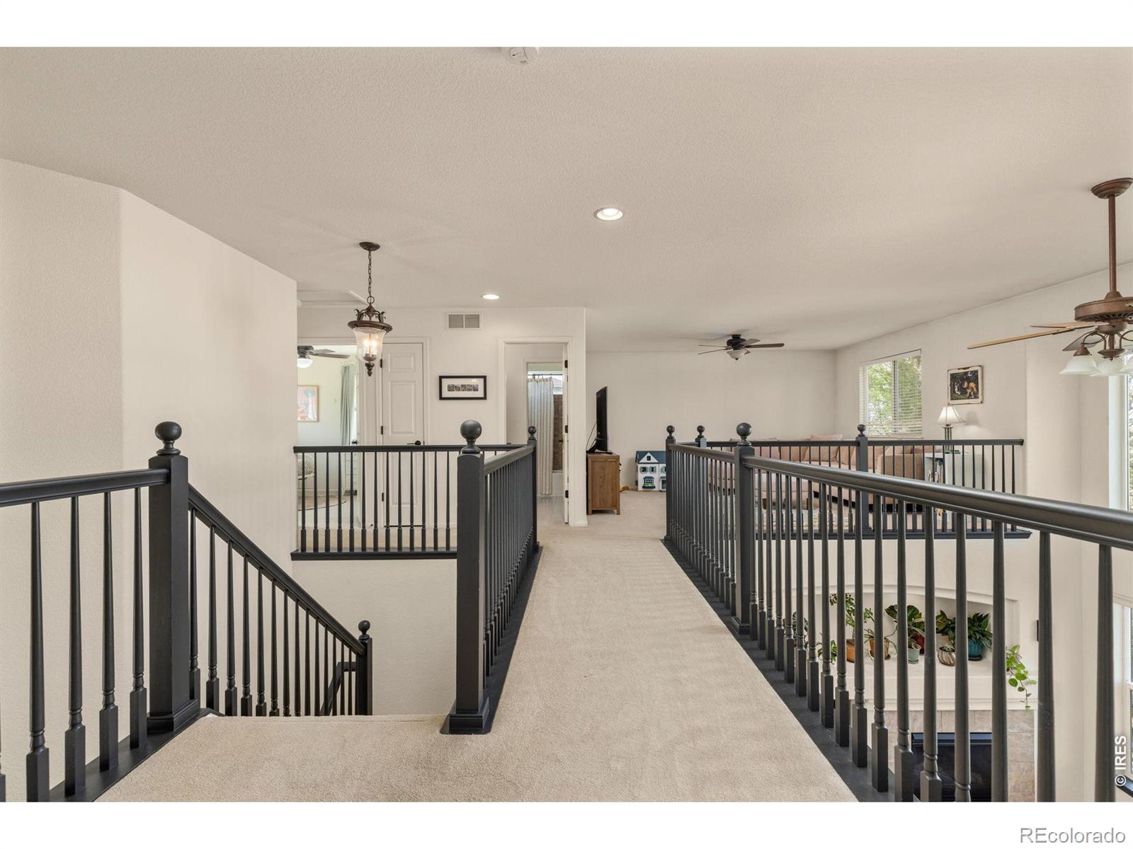2130 Black Duck Avenue Johnstown CO 80534