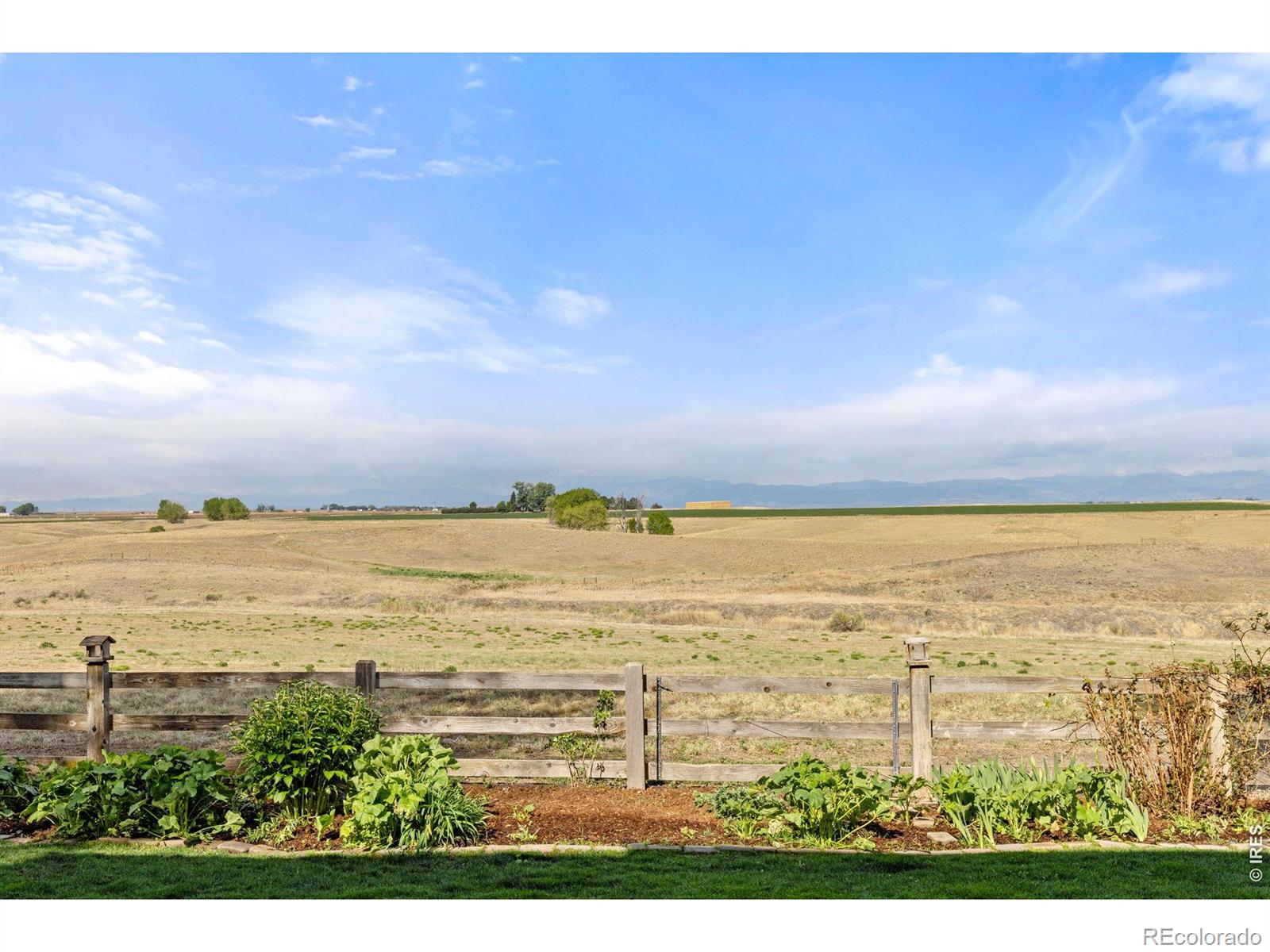 2130 Black Duck Avenue Johnstown CO 80534