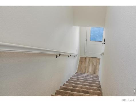 977 Trumpet Lane Windsor CO 80550
