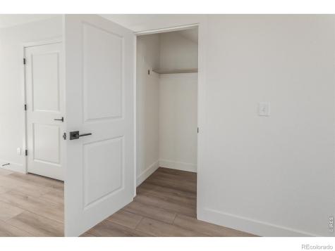 977 Trumpet Lane Windsor CO 80550