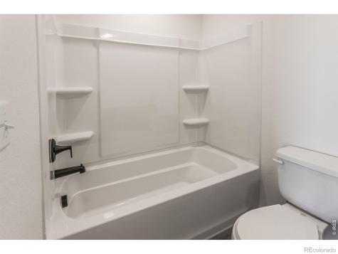977 Trumpet Lane Windsor CO 80550