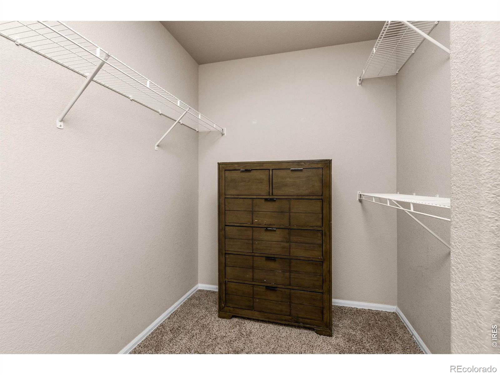 805 Mt Sneffels Avenue Severance CO 80550