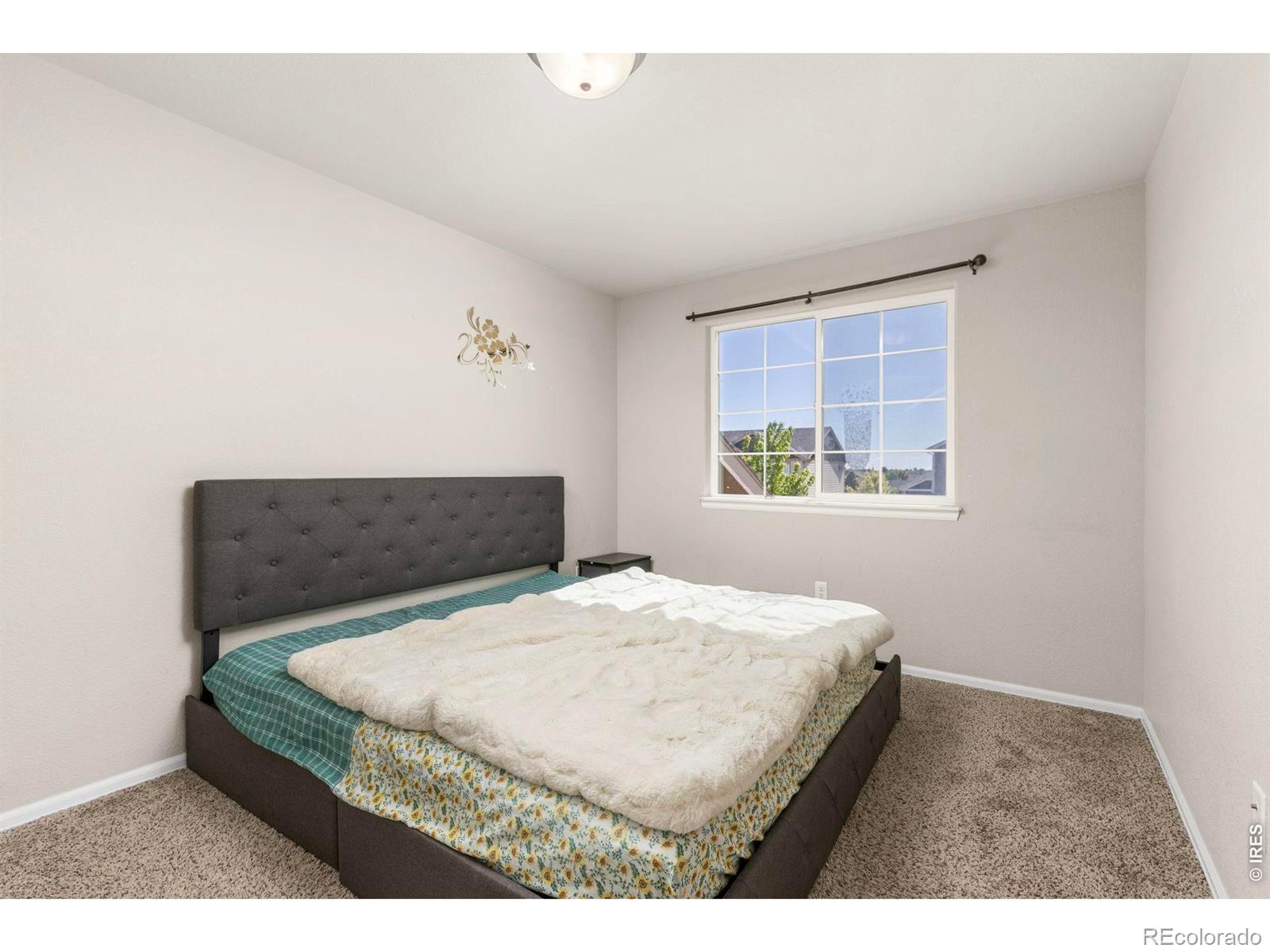 805 Mt Sneffels Avenue Severance CO 80550