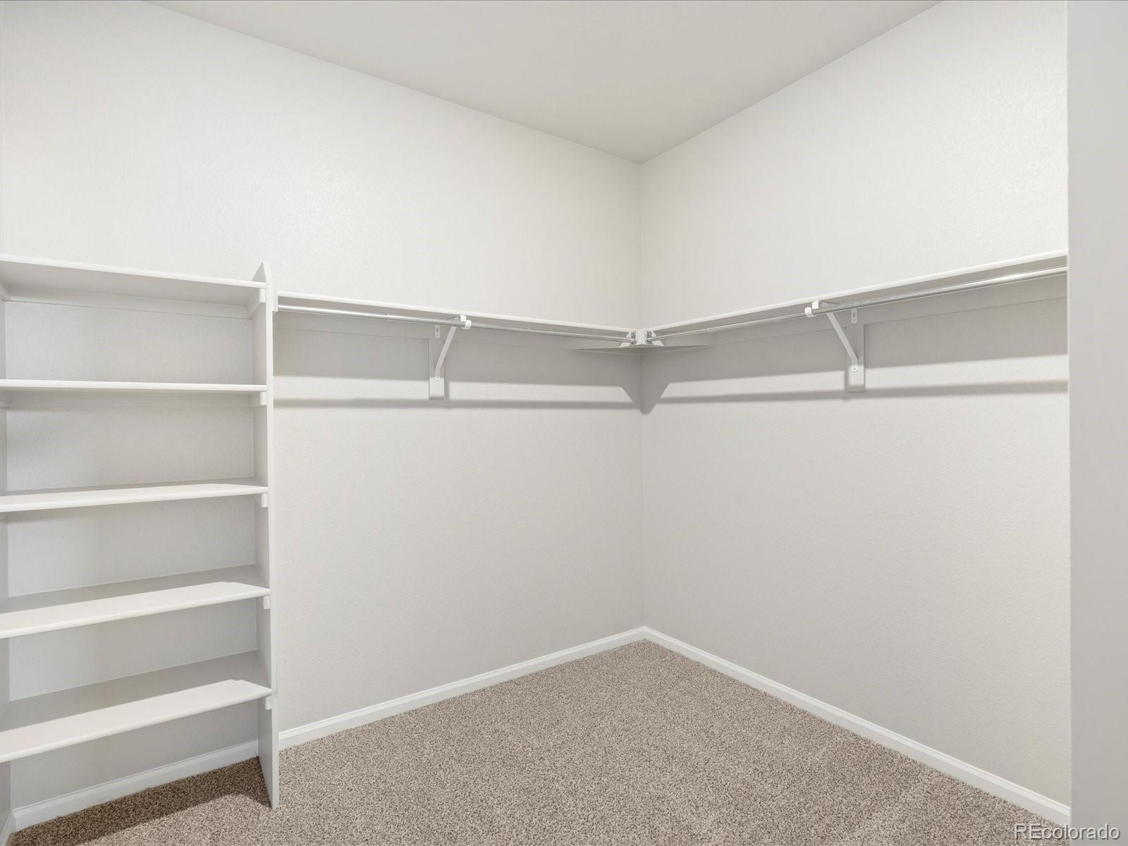 1609 Colorado River Drive Windsor CO 80550