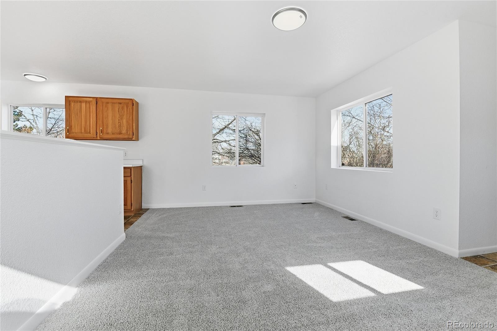 3099 Elm Street Denver CO 80207