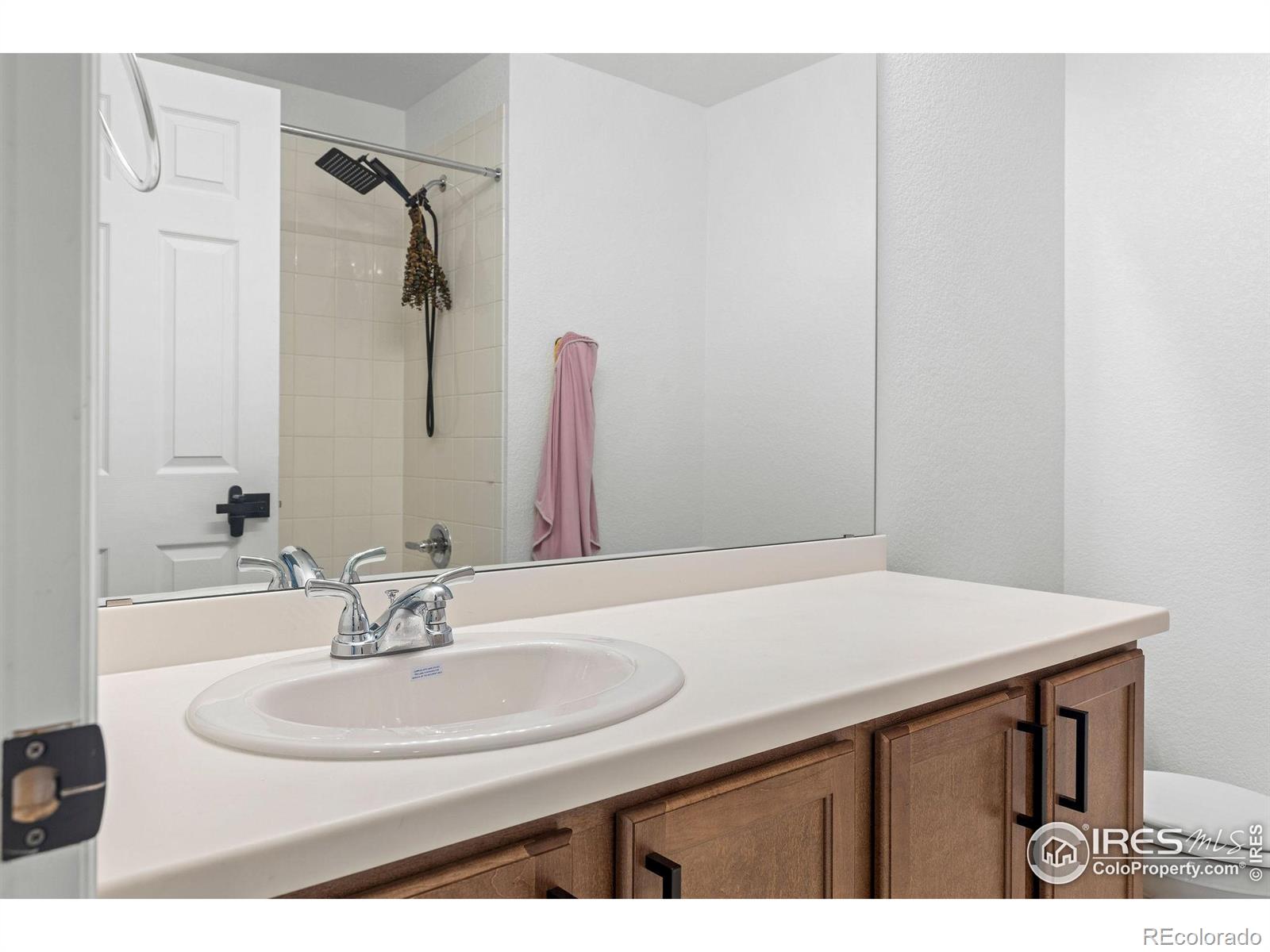 1228 Argali Drive Severance CO 80550