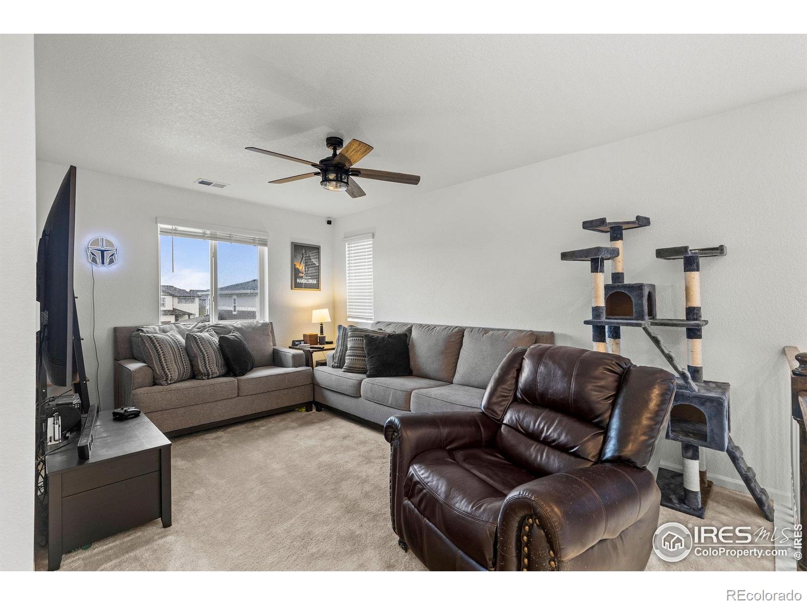 1228 Argali Drive Severance CO 80550