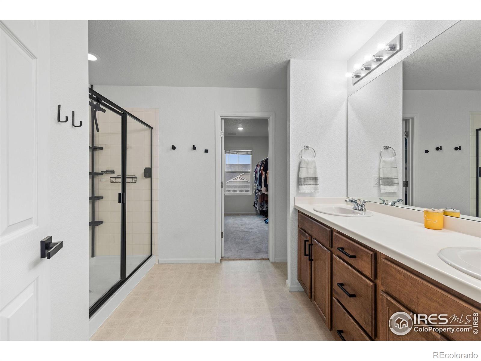1228 Argali Drive Severance CO 80550