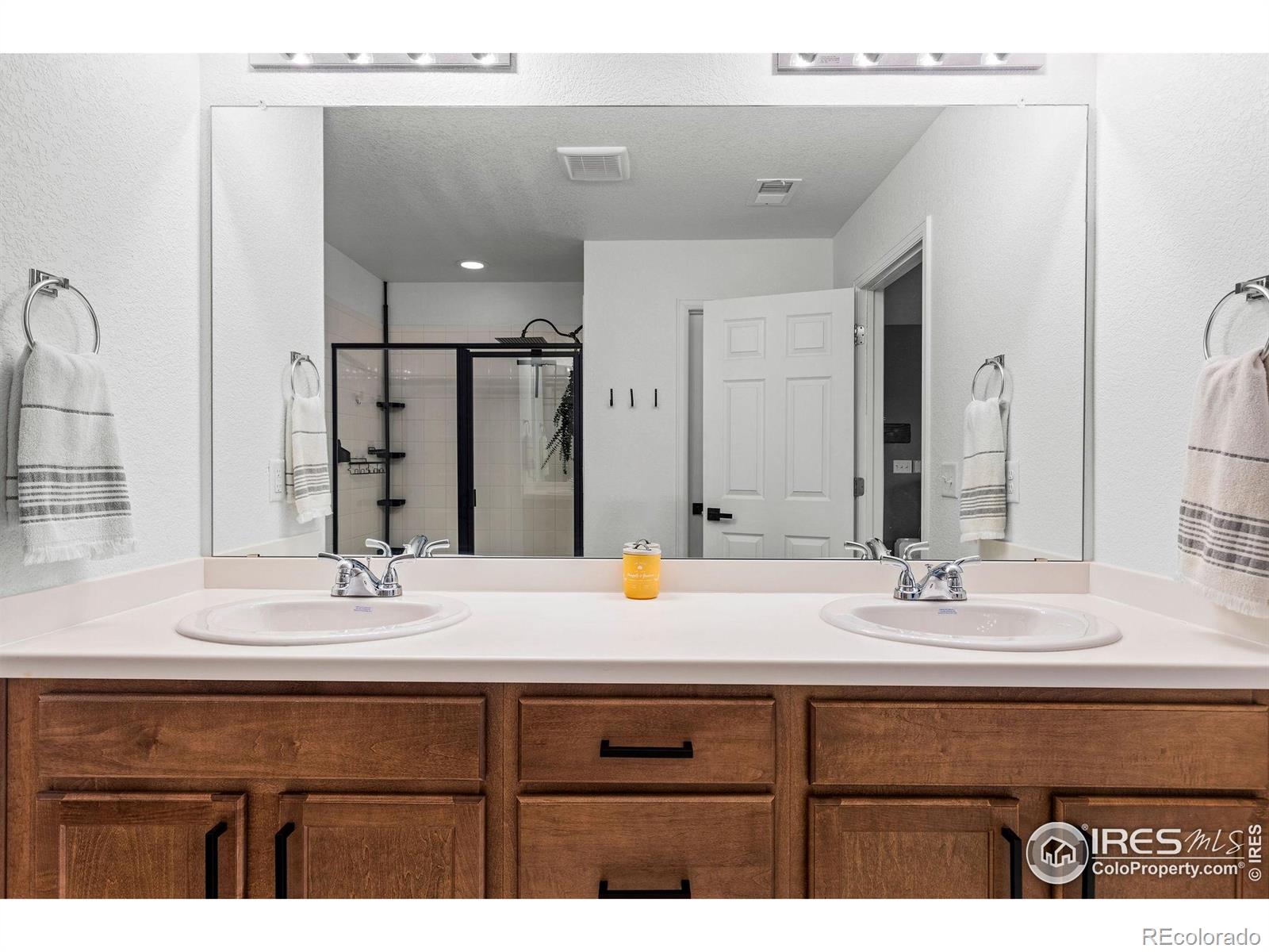 1228 Argali Drive Severance CO 80550
