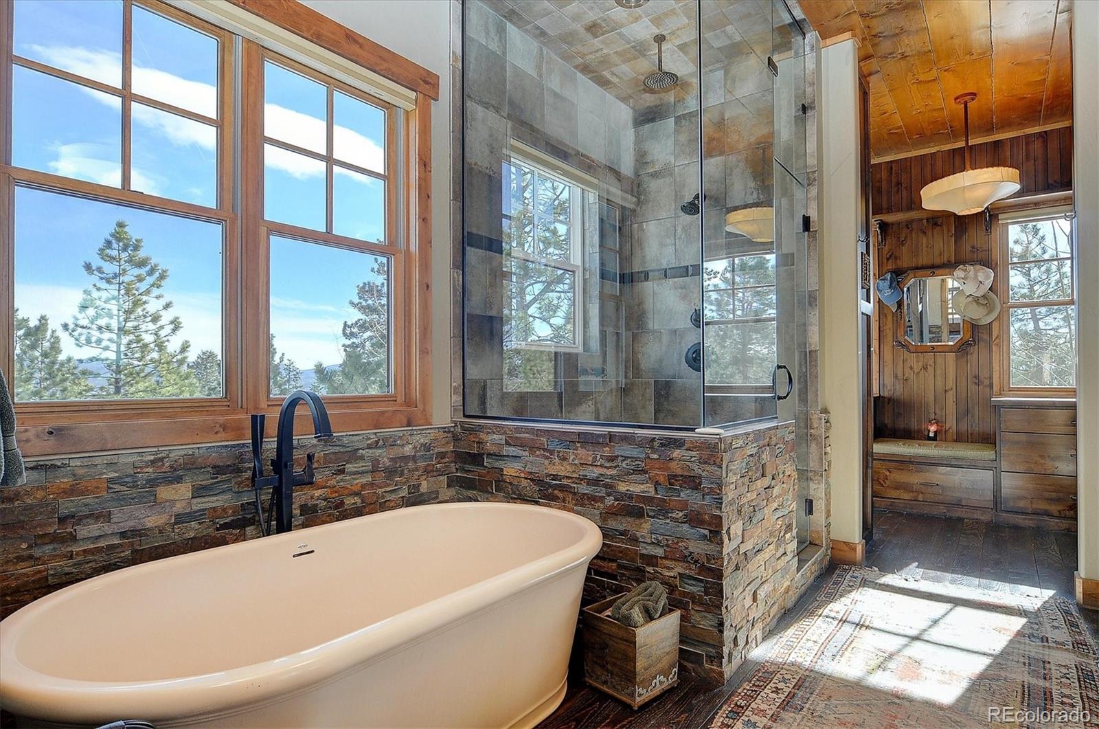24559 Co Road 339 Buena Vista CO 81211