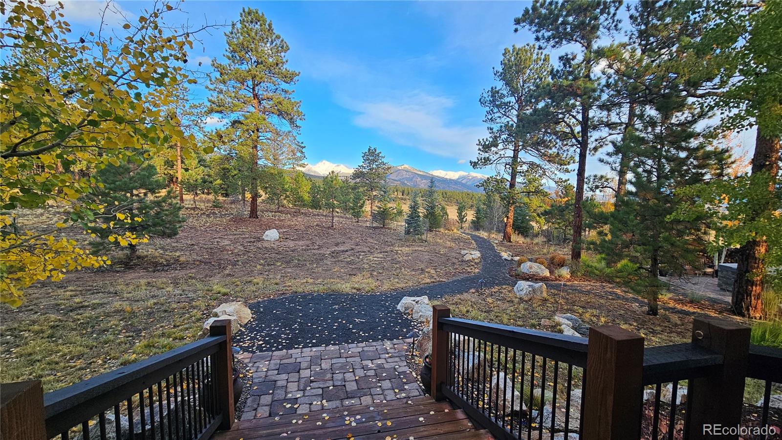 24559 Co Road 339 Buena Vista CO 81211