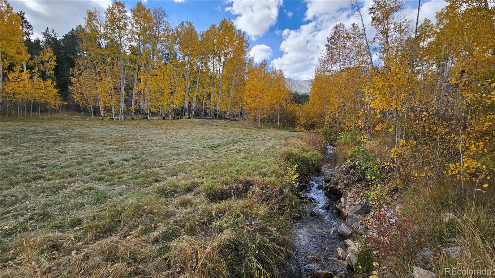 24559 Co Road 339 Buena Vista CO 81211