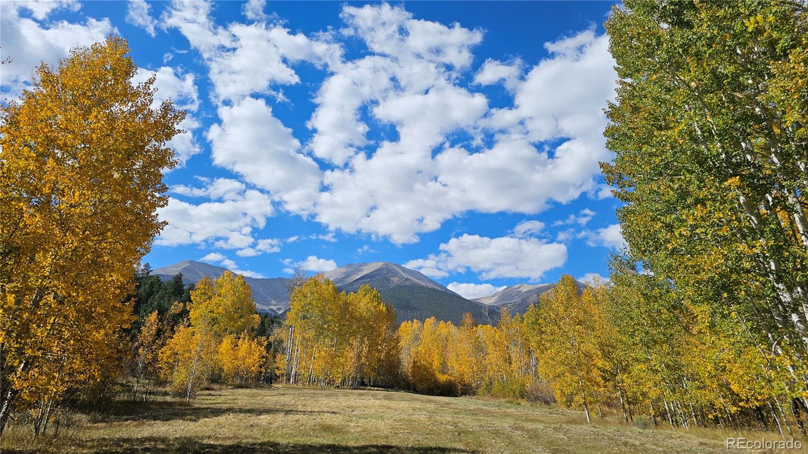 24559 Co Road 339 Buena Vista CO 81211