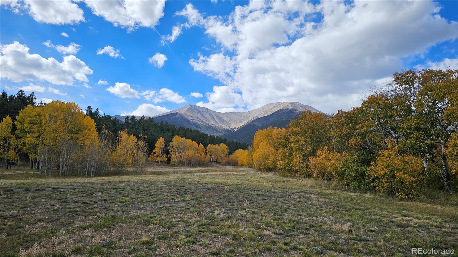 24559 Co Road 339 Buena Vista CO 81211