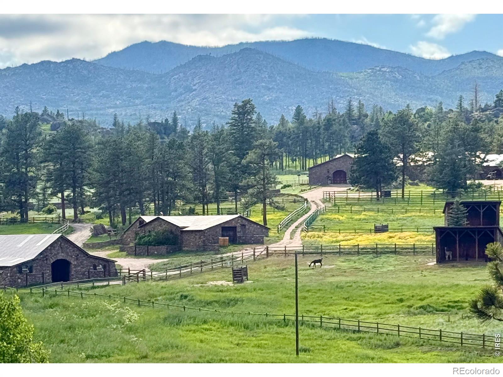 9200 Old Flowers Road Bellvue CO 80512