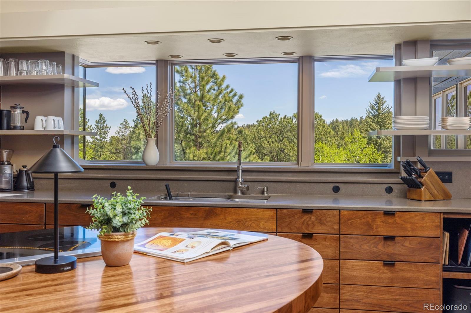 1323 S Snyder Gulch Road Evergreen CO 80439