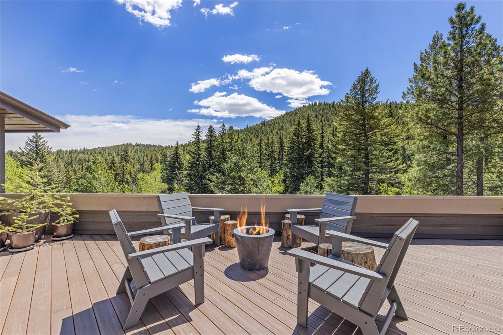 1323 S Snyder Gulch Road Evergreen CO 80439