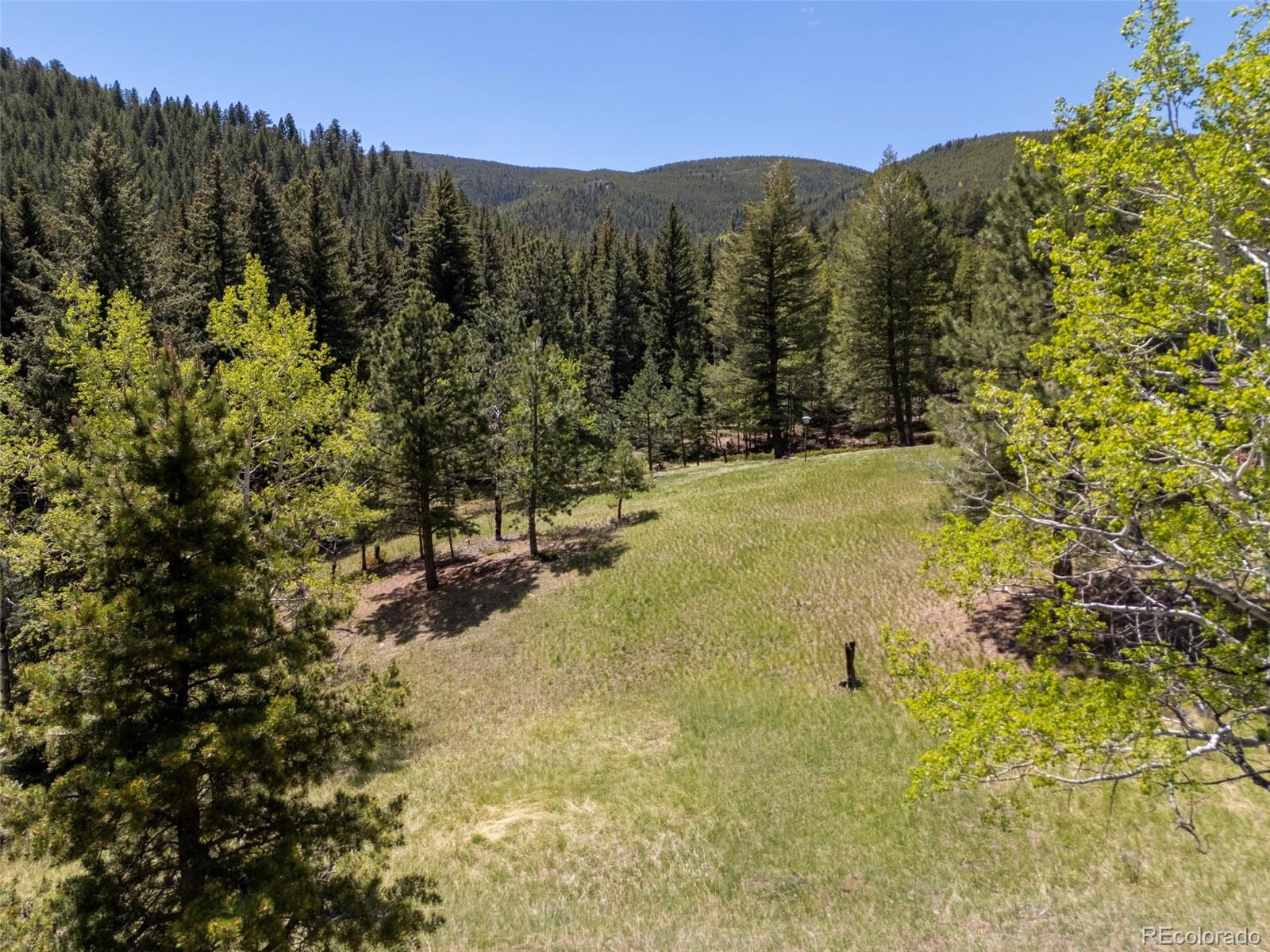1323 S Snyder Gulch Road Evergreen CO 80439