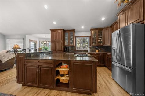 17815 Saddlewood Monument CO 80132