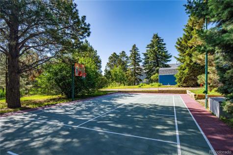 17815 Saddlewood Monument CO 80132