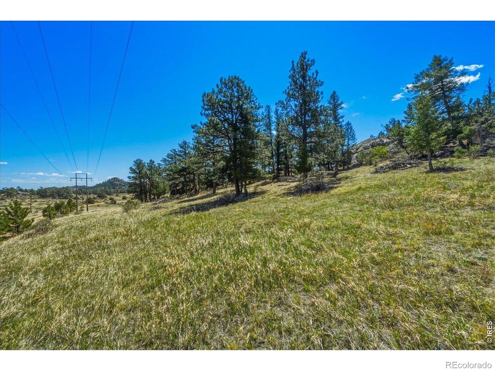 511 Green Mountain Drive Livermore CO 80536
