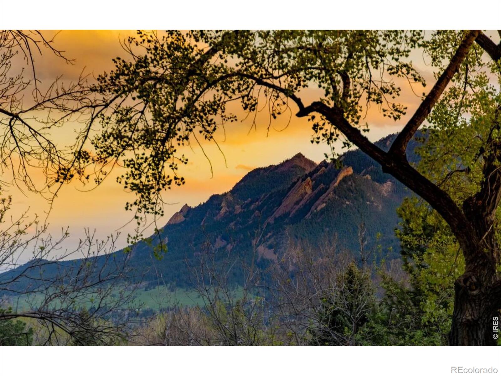 3746 Wonderland Hill Avenue Boulder CO 80304