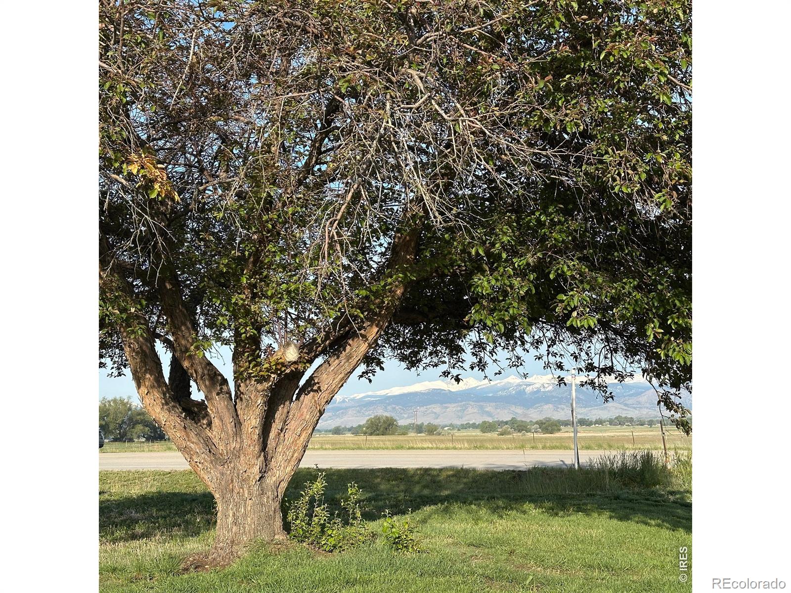 8502 N 107th Street Longmont CO 80504