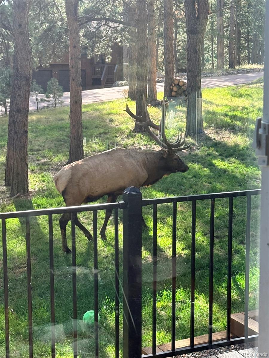 30188 Carriage Loop Drive Evergreen CO 80439