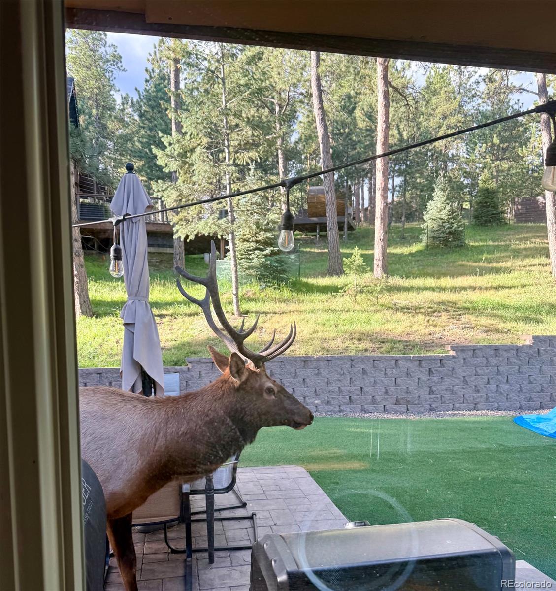 30188 Carriage Loop Drive Evergreen CO 80439