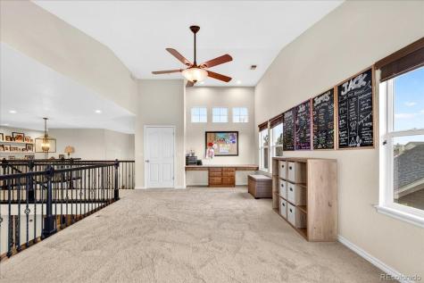 5509 Sawdust Loop Parker CO 80134