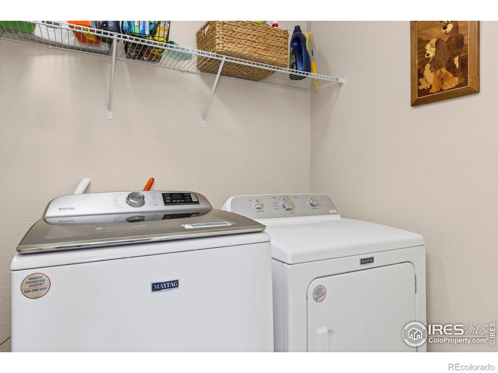 690 W 64th Street Loveland CO 80538