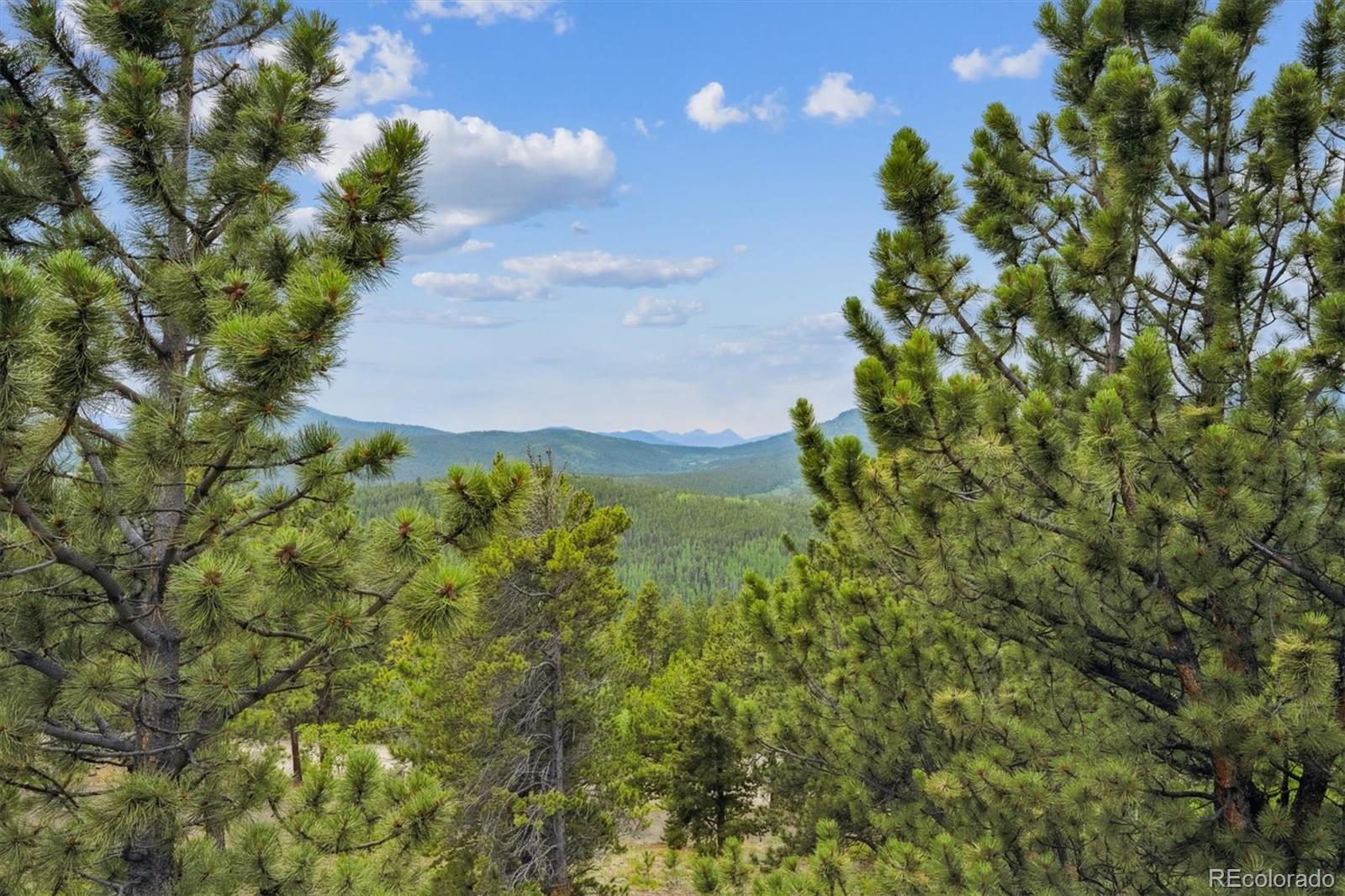 35 Pickle Point Black Hawk CO 80422