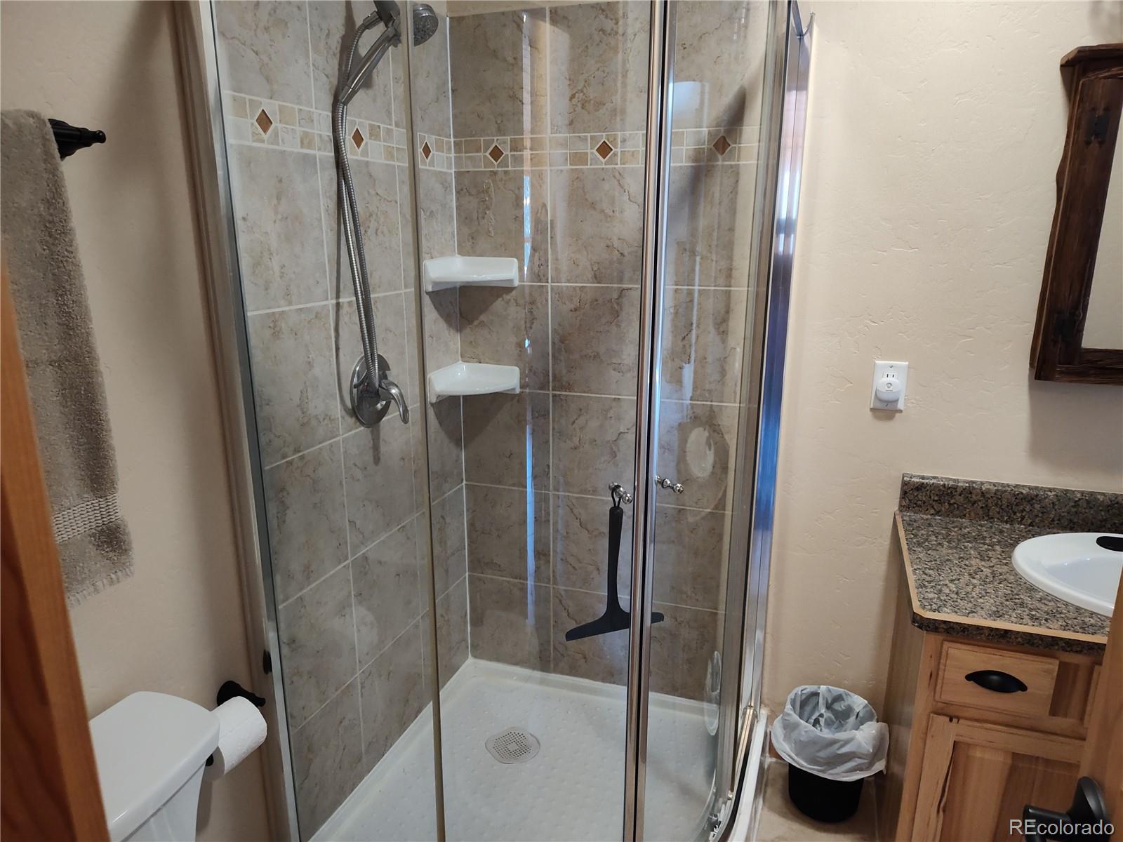 226 Pine Cone Way Fairplay CO 80440