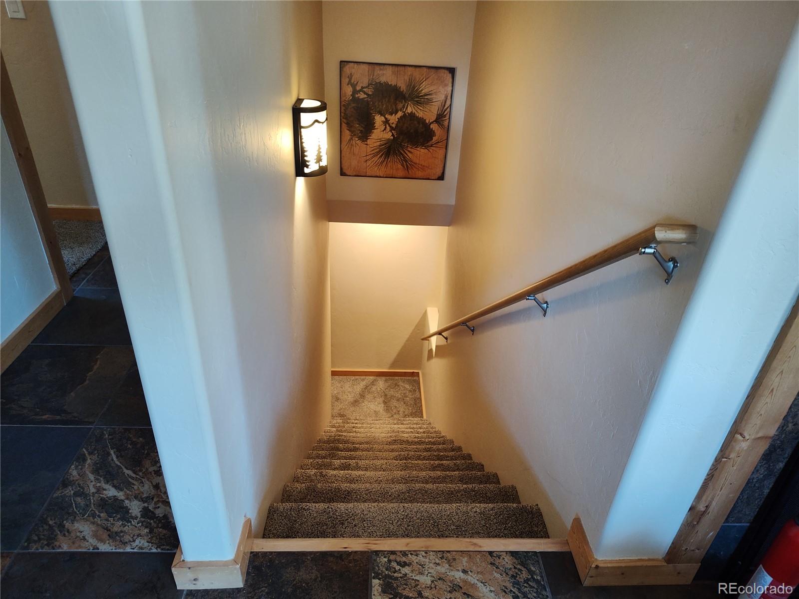 226 Pine Cone Way Fairplay CO 80440