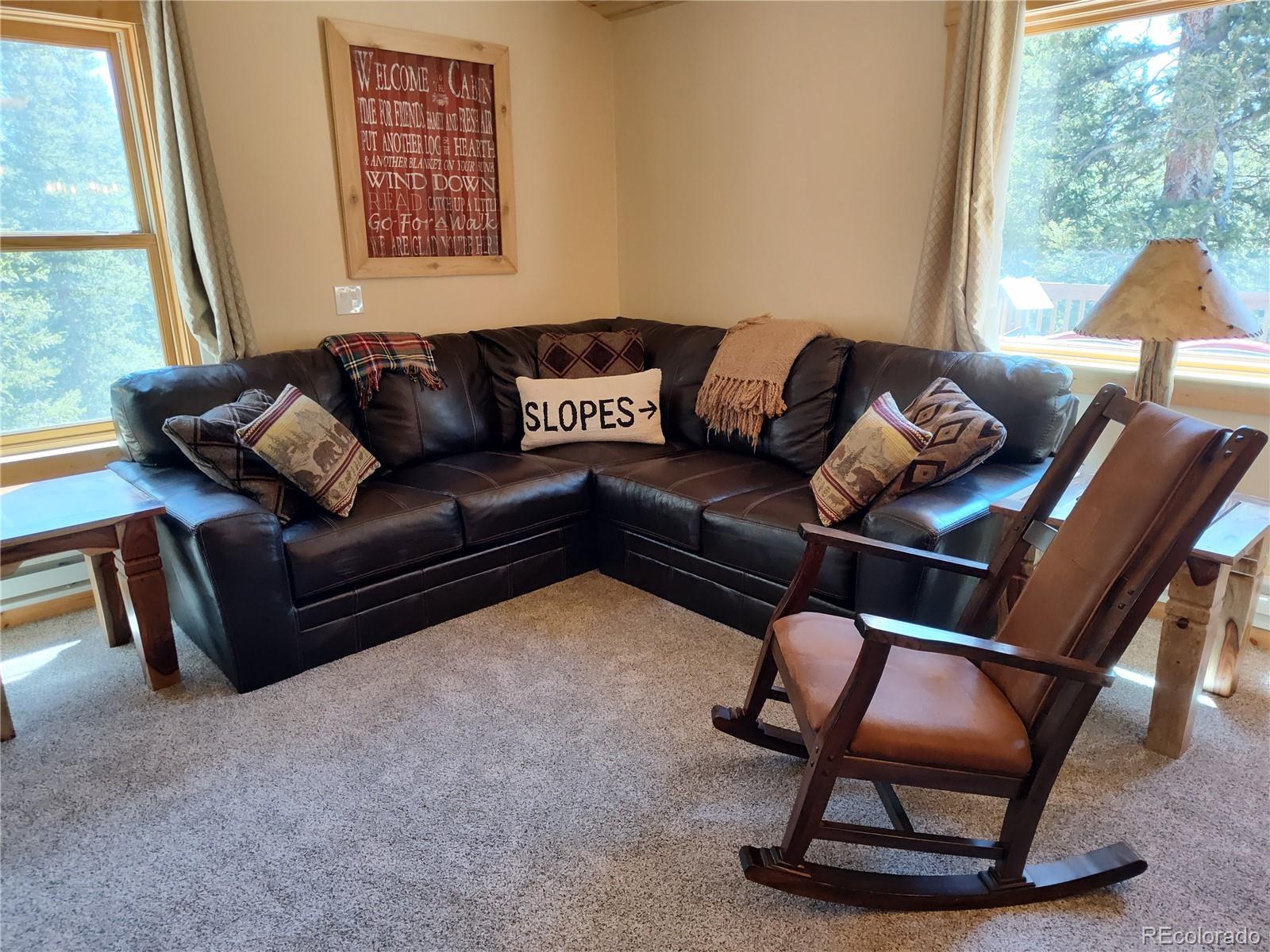 226 Pine Cone Way Fairplay CO 80440