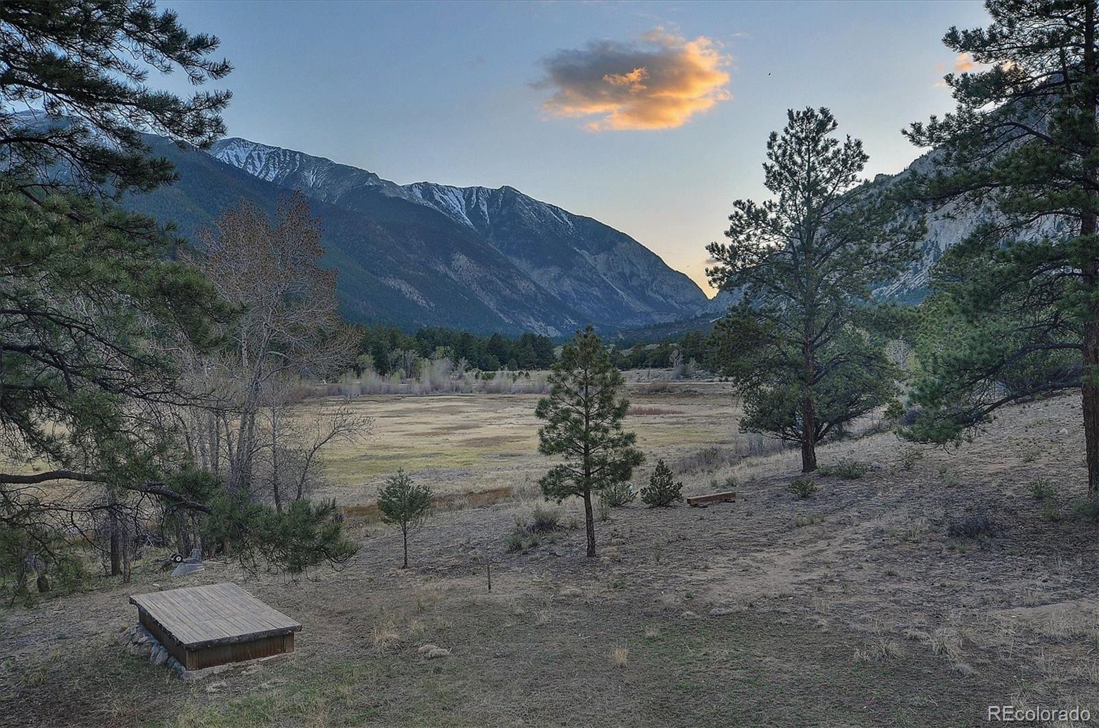 16602 County Road 289 Nathrop CO 81236