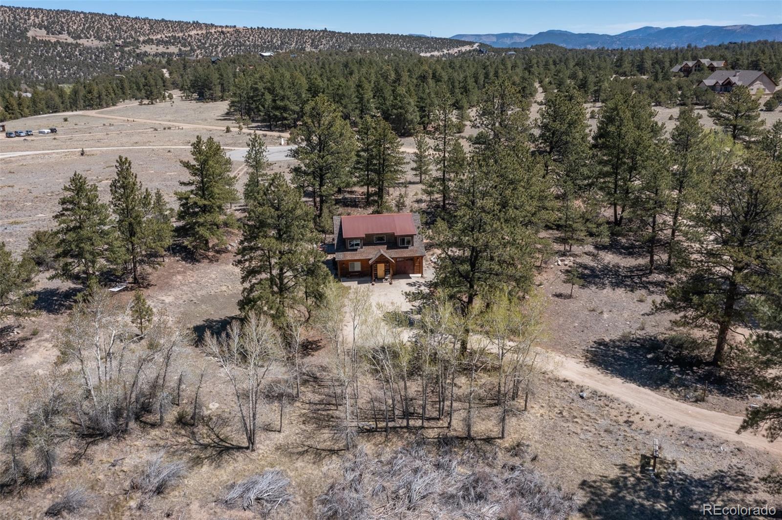 16602 County Road 289 Nathrop CO 81236