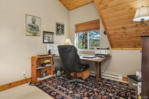 16602 County Road 289 Nathrop CO 81236