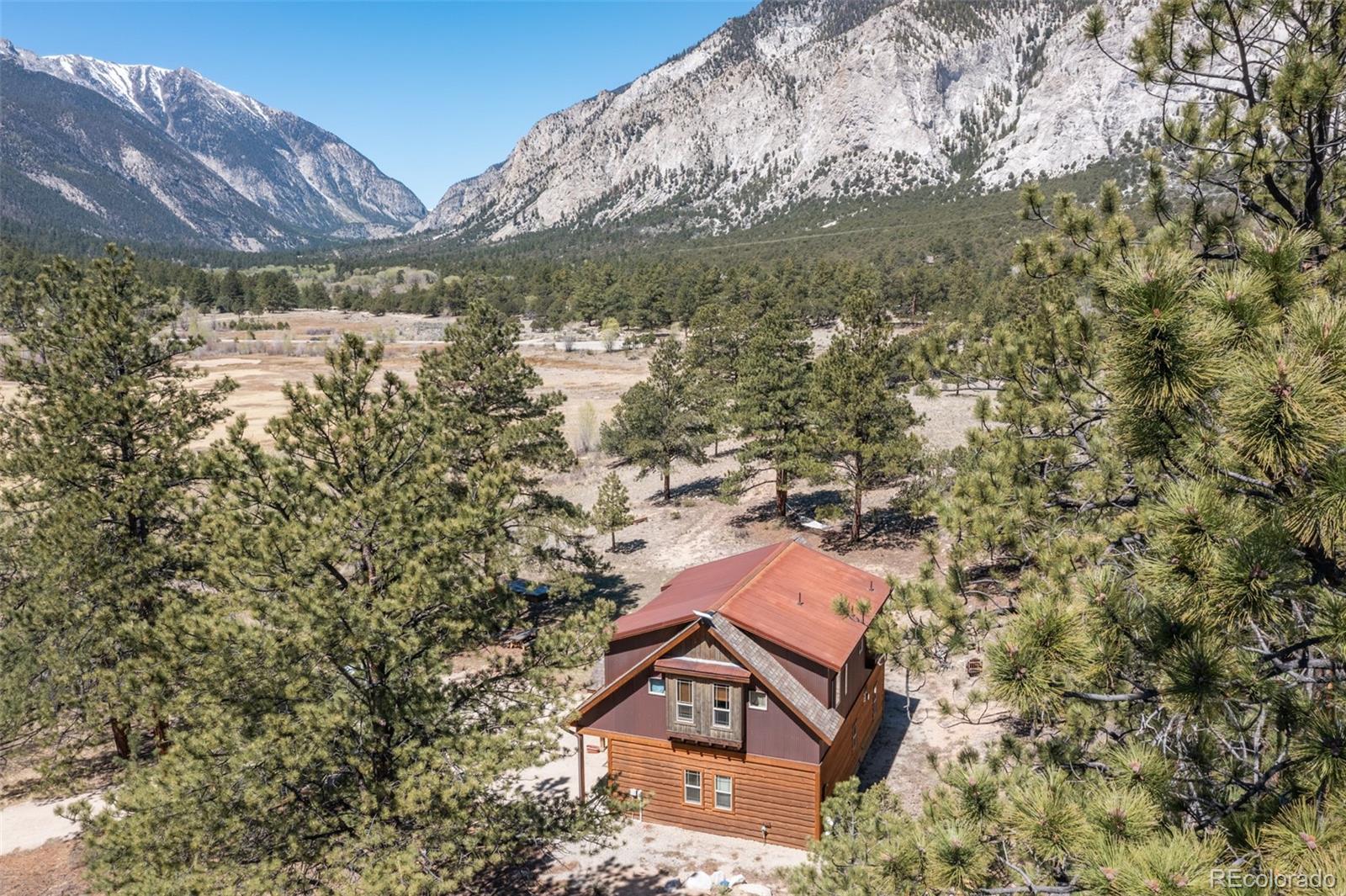 16602 County Road 289 Nathrop CO 81236